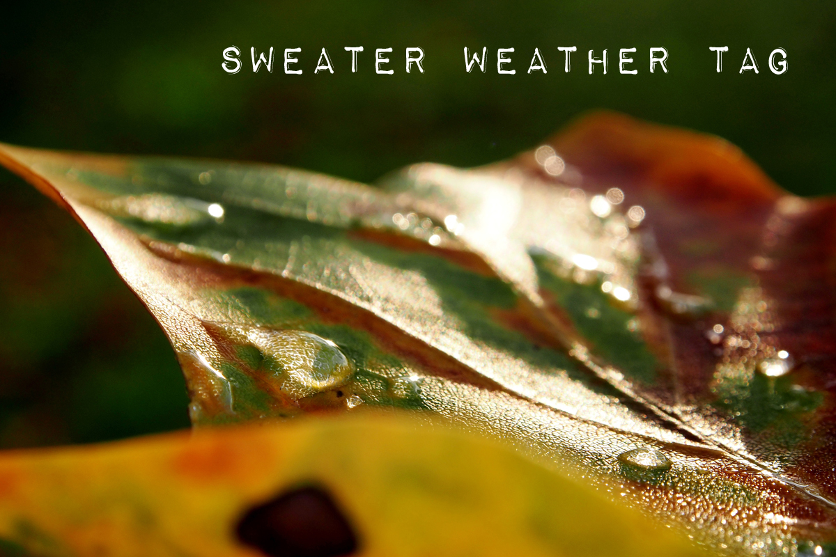 Ein Sweater Weather Tag, der nichts mit 24h zu tun hat - Fee ist mein Name"