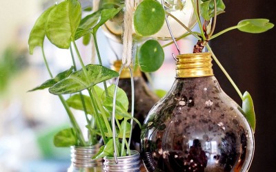 DIY für Glühbirnenvasen und -pflanzgefäße - "Fee ist mein Name"