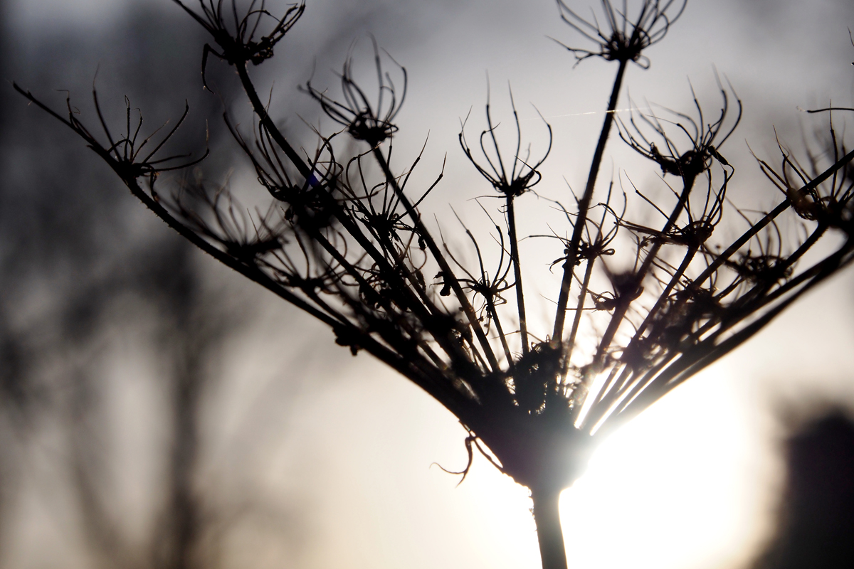 Aus der Schublade: Grau in grau