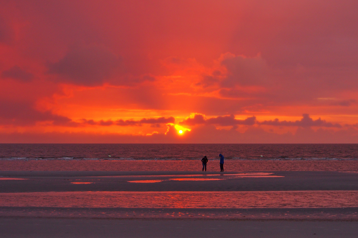 Ich will wieder an die Nordsee... - "Fee ist mein Name"