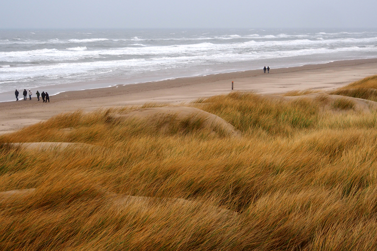 Ich will wieder an die Nordsee... - "Fee ist mein Name"