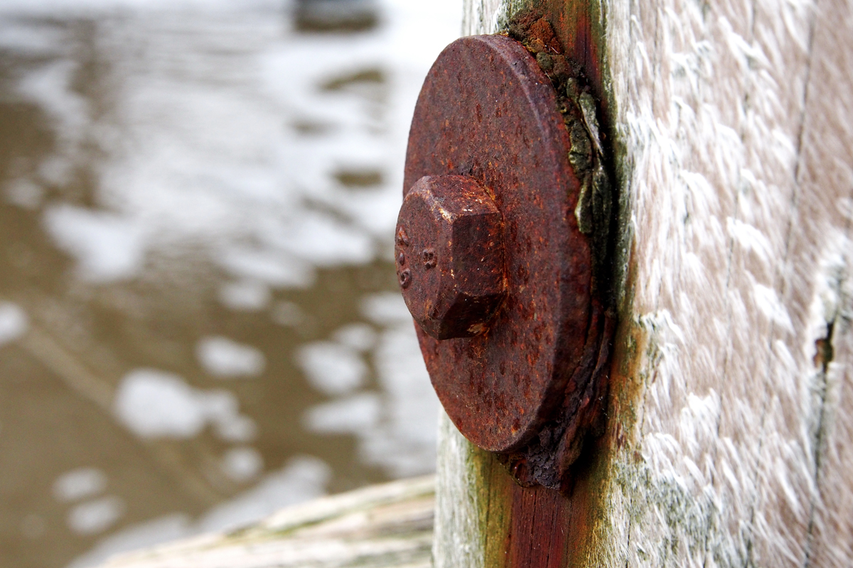 Ich will wieder an die Nordsee... - "Fee ist mein Name"