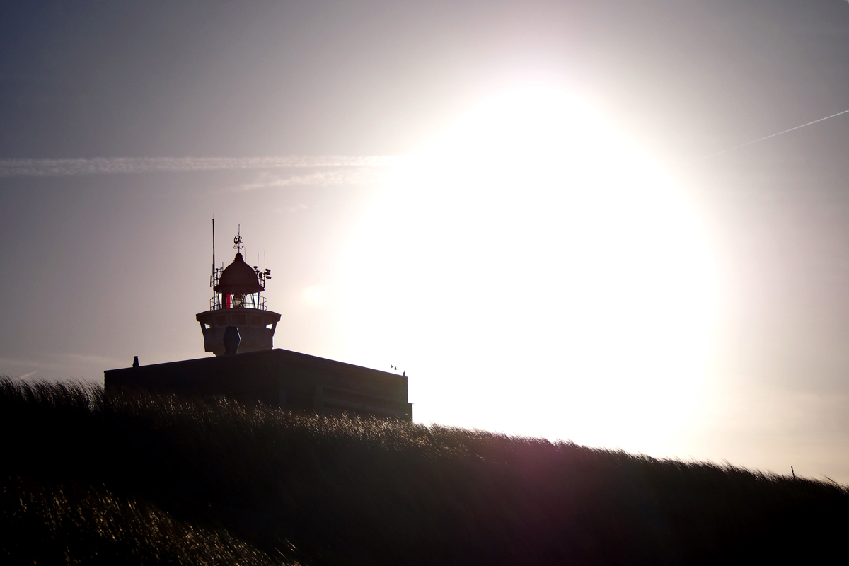 Fees ultimative Top Ten in und um Egmond aan Zee // Im Winter hinfahren - "Fee ist mein Name"