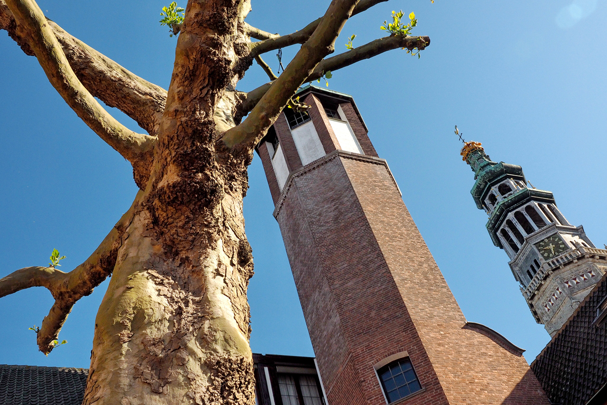 Große Hotelliebe: Das "The Roosevelt" in Middelburg - "Fee ist mein Name"