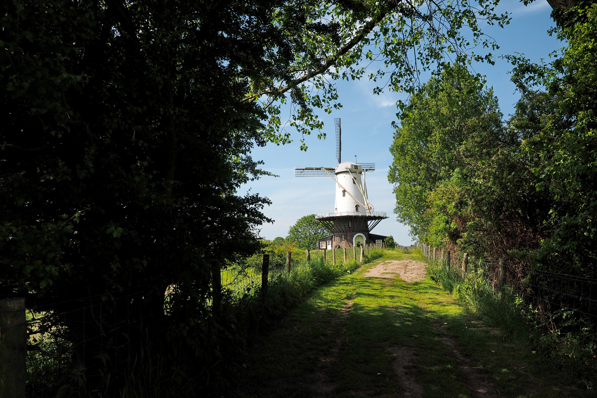 Veere in Zeeland - "Fee ist mein Name"