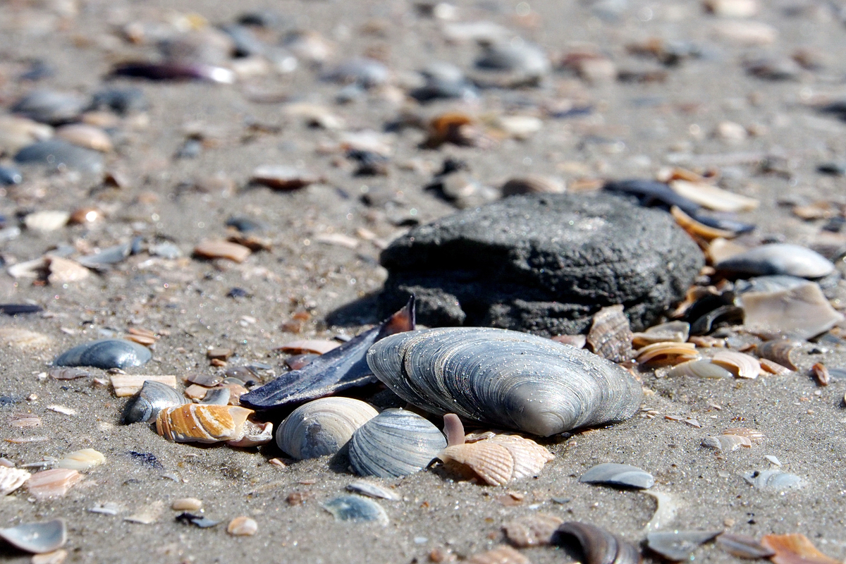 St. Peter-Ording 2014 - © Fee ist mein Name