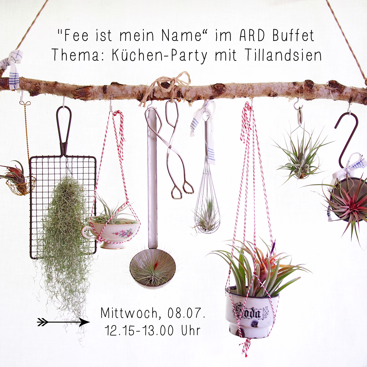 Ankündigung für einen Auftritt im ARD-Buffet mit Tillandsien-DIY - © Fee ist mein Name