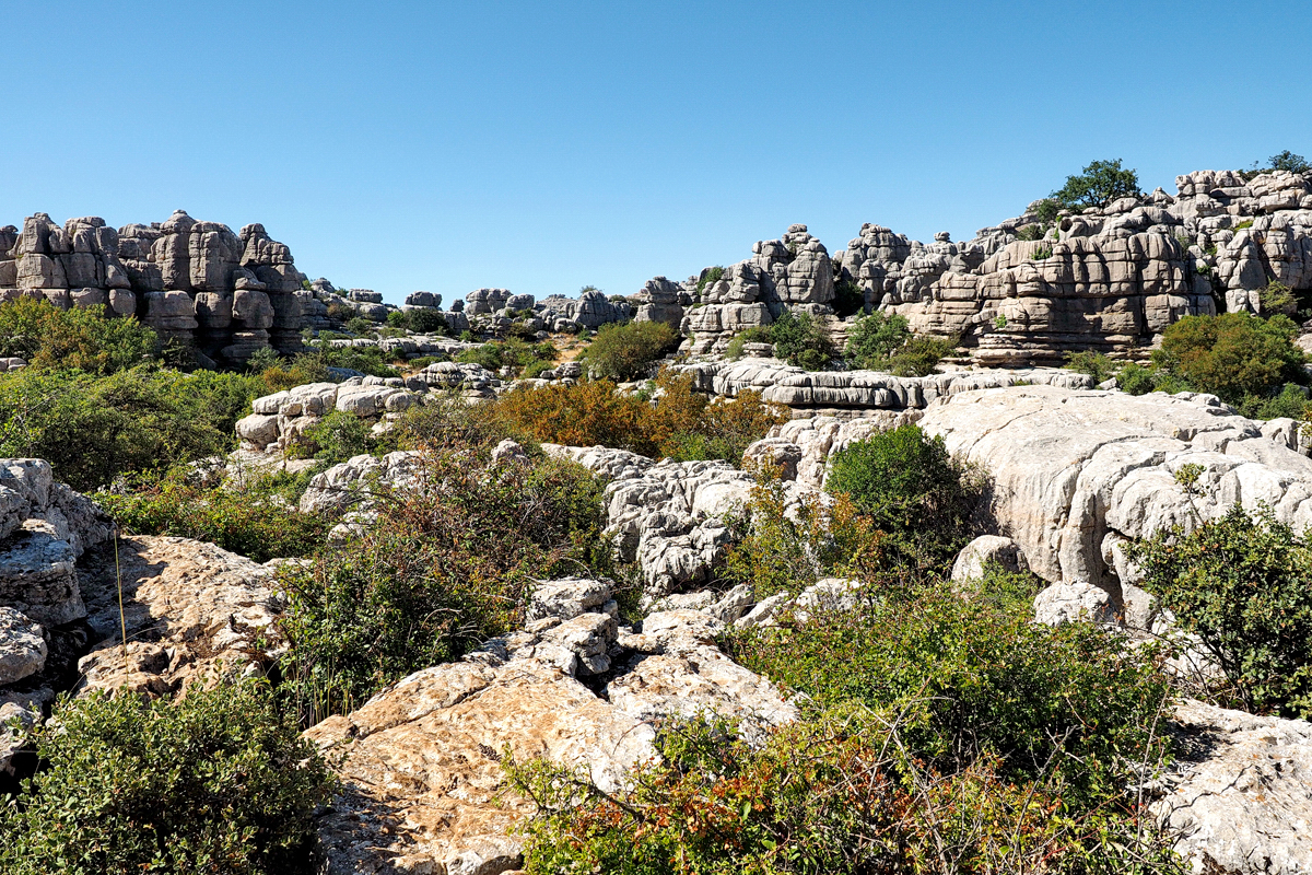 Der Tag, an dem ich fast in einer Schweißpfütze ersoff - Ein Ausflug von Málaga ins Karstgebirge "El Torcal" - © Fee ist mein Name