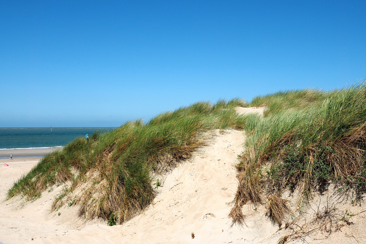 Kopf in den Wind halten, Wellen lauschen, durchatmen - Ein Zeeland-Strandbesuch in Burgh-Haamstede - © Fee ist mein Name