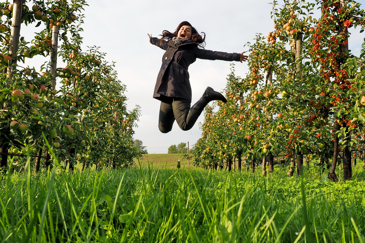 Von Dortmunder Äpfeln und ökologischen Fußabdrücken - Ein Besuch auf dem Apfelfest beim Hof Mertin in Dortmund-Grevel - © "Fee ist mein Name"