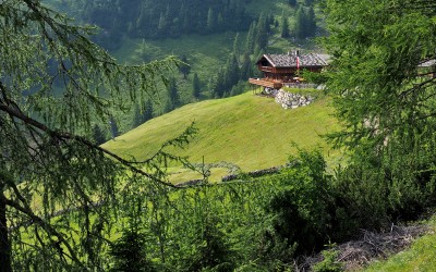 Auf der Dalfaz-Alm, da gibts koa Sünd