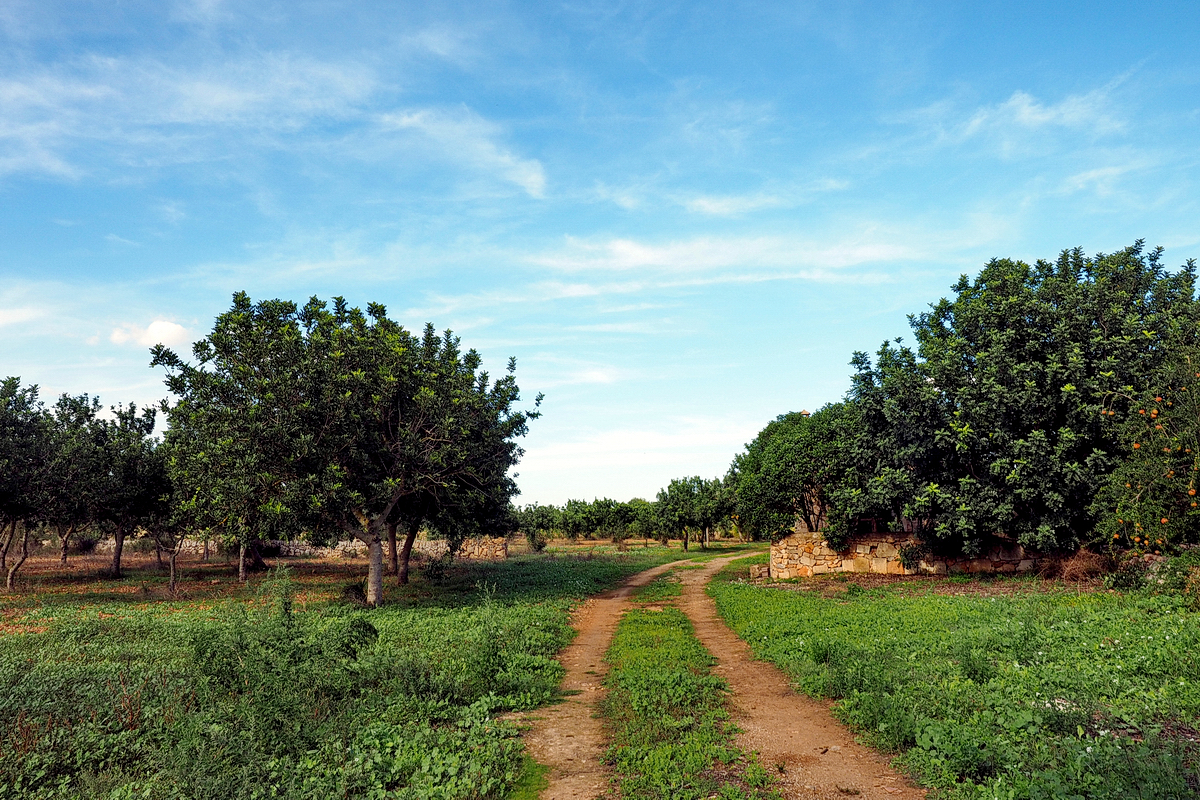 Übernachten UND Wohlfühlen auf Mallorca – Das Finca-Hotel "Agroturismo S'Horabaixa" mittem im Nichts – © "Fee ist mein Name"