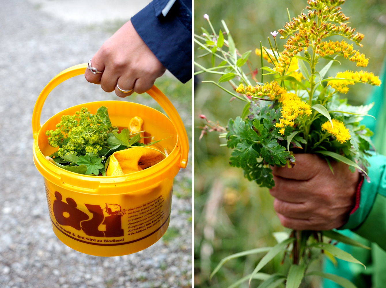 Ein Kräuternachmittag mit Lydia im Kleinwalsertal – Von Brennnesselsmoothies und Meisterwurzpeeling (inkl. DIY) – ©"Fee ist mein Name"