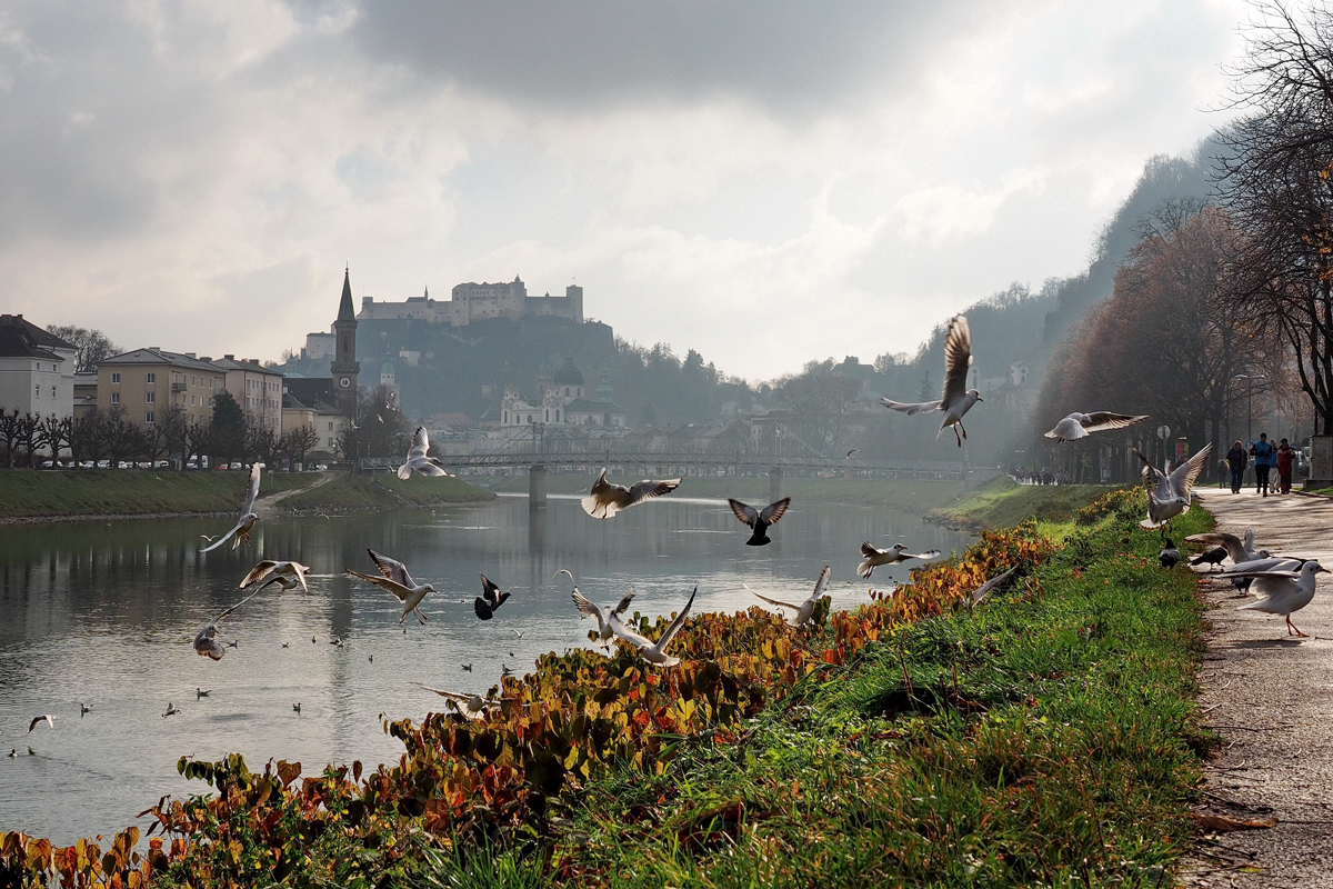 Sieben Stunden in Salzburg in 22 Bildern