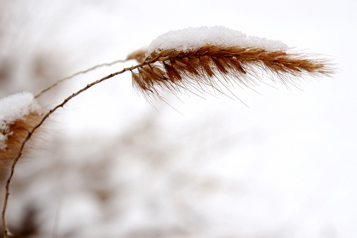 Ein Plädoyer für Parks im Winter (im Allgemeinen und für den Westfalenpark im Speziellen) - © "Fee ist mein Name"