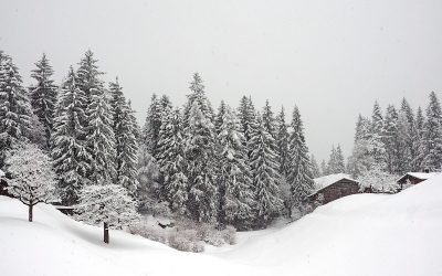 Schneereiche Winterwanderung in Laax in der Schweiz - "Fee ist mein Name"