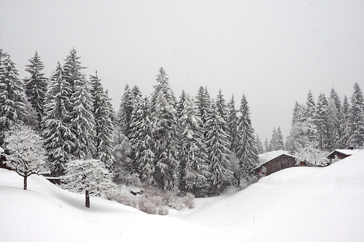 Schneereiche Winterwanderung in Laax in der Schweiz - "Fee ist mein Name"