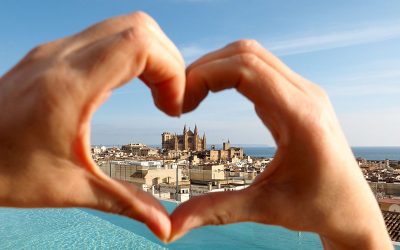 Urlaubsvideo: Mallorca zur Mandelblüte im Februar 2017 - "Fee ist mein Name"