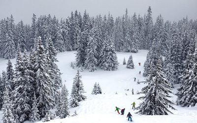 WInter- und Freestyle-Destination Laax - "Fee ist mein Name"