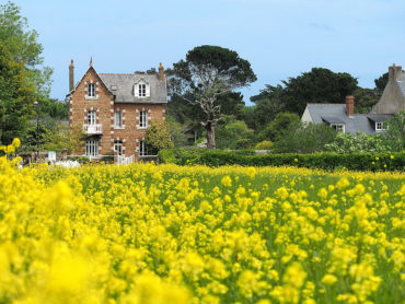 Die Blumeninsel Bréhat in der Bretagne - eine Reise mit "Fee ist mein Name"