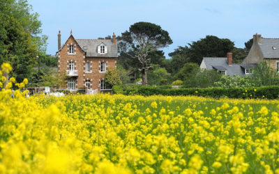 Die Blumeninsel Bréhat in der Bretagne - eine Reise mit "Fee ist mein Name"