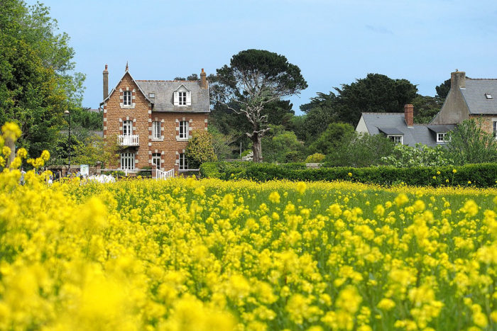 Die Blumeninsel Bréhat in der Bretagne - eine Reise mit "Fee ist mein Name"