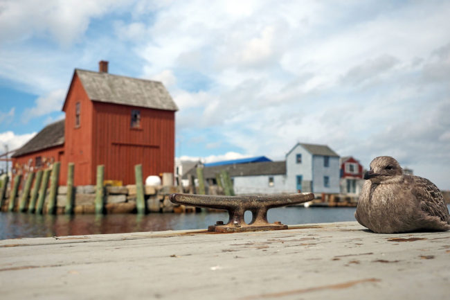 Ohne (allzu) viele Worte: Rockport rockt | Fee ist mein Name